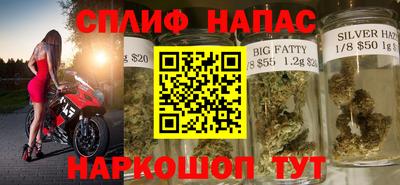 гидра Рязань