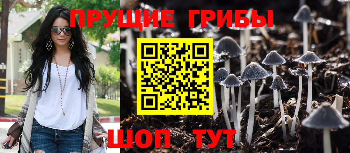 Сальск  Галлюциногенные грибы мухоморы  Вход с VPN 