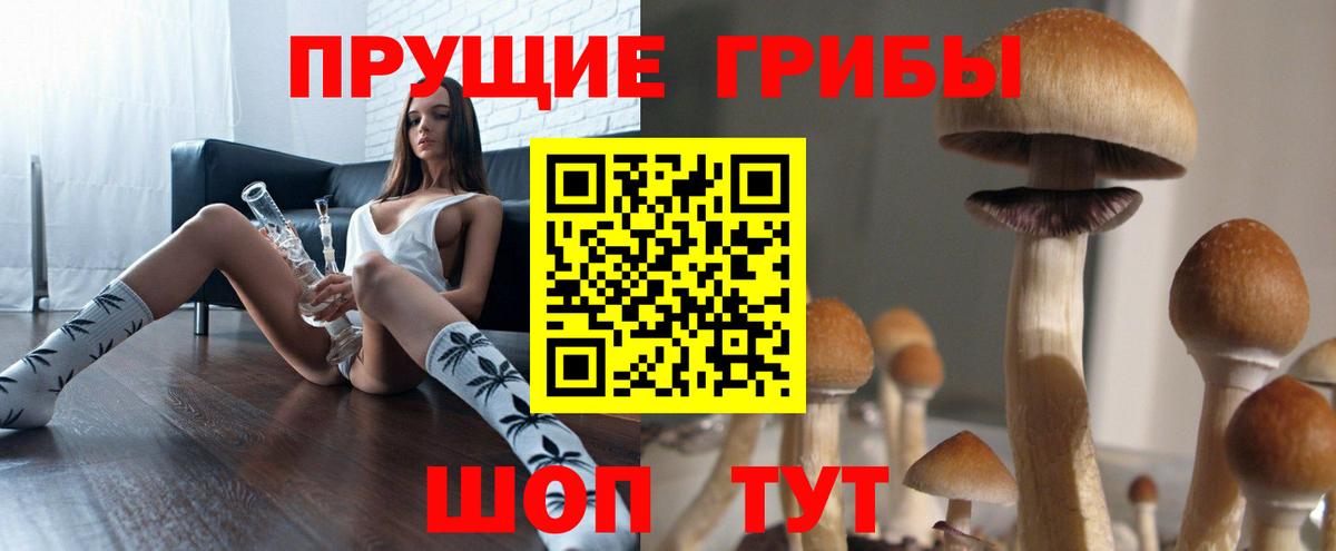 Псилоцибиновые грибы прущие грибы Сальск